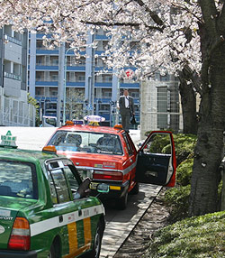 桜とタクシーの写真