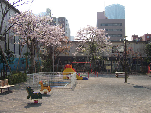公園と桜の微妙な写真