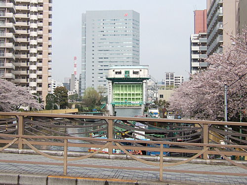 水門さんと桜の写真