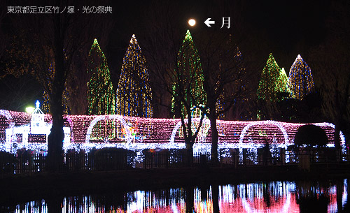 イルミネーションで飾られた公園